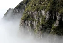 bcci-ipl-franchises-loss-2400-crore