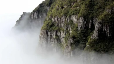 bcci-ipl-franchises-loss-2400-crore