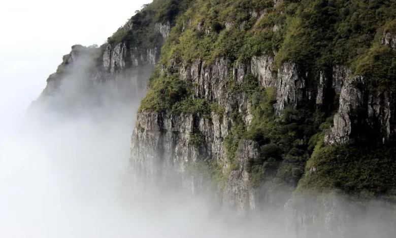 bcci-ipl-franchises-loss-2400-crore