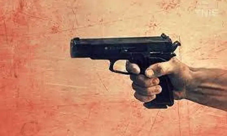 bulandshahr-firing-birthday-party