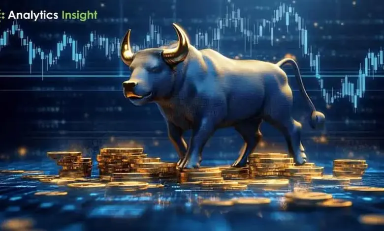 bull-run-invest-in-these-stocks