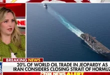 chinese-ships-free-entry-hormuz