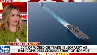 chinese-ships-free-entry-hormuz