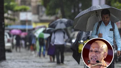 cm-yogi-compensation-rain-damage