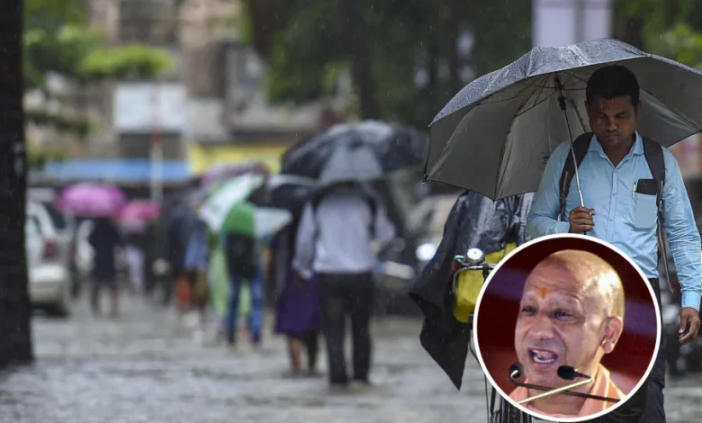 cm-yogi-compensation-rain-damage