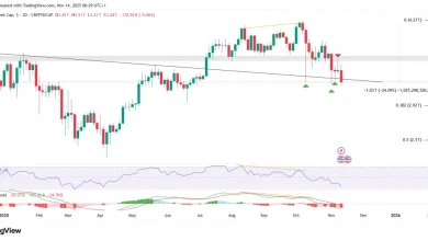 crypto-market-crash-india