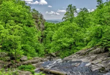 csk-vs-pbks-ipl-2026-live-score-8368