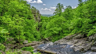 csk-vs-pbks-ipl-2026-live-score-8368