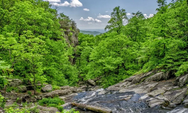 csk-vs-pbks-ipl-2026-live-score-8368