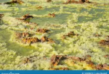dallol-hot-springs-and-toxic-gases