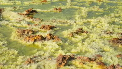 dallol-hot-springs-and-toxic-gases