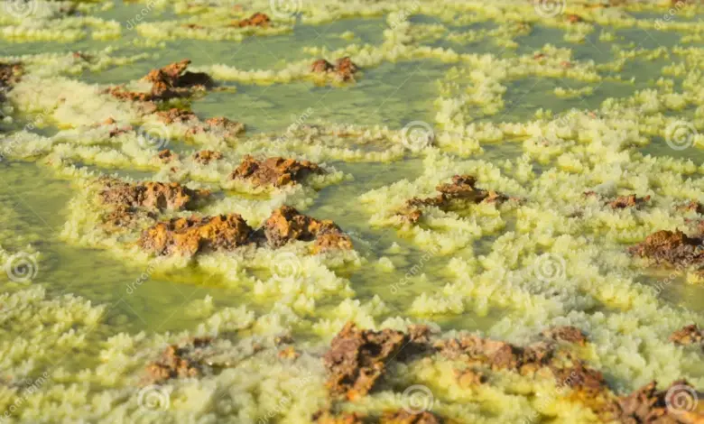 dallol-hot-springs-and-toxic-gases