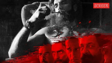 dharundhar-2-box-office-collection