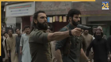 dhurandhar-2-collection-analysis