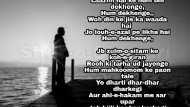 director-demanded-shayari-jagjit-singh-sang