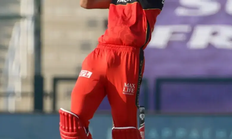 docket-withdraws-from-ipl-banned