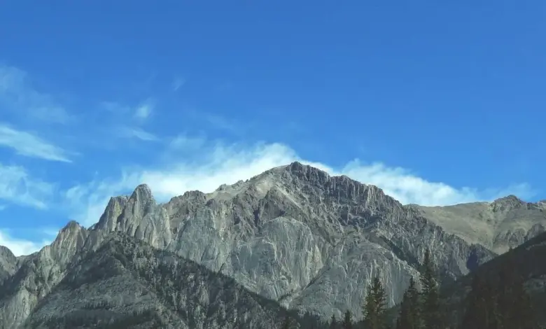 exit-poll-results-2026-assam-tamil-nadu