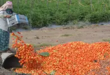 farmers-benefit-rs4000-check-eligibility