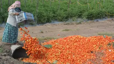 farmers-benefit-rs4000-check-eligibility