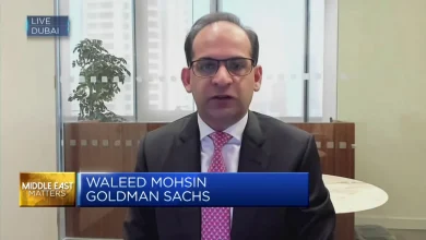 government-oil-company-share-decline