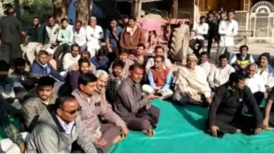 gujarat-nikay-chunav-result-2026-4885