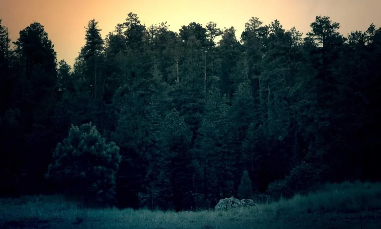 hardik-natasha-relationship-status