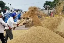 heatwave-impact-on-india-economy