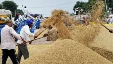 heatwave-impact-on-india-economy