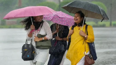 heavy-rain-alert-up-35-districts