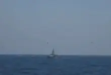 hormuz-attack-india-un-response