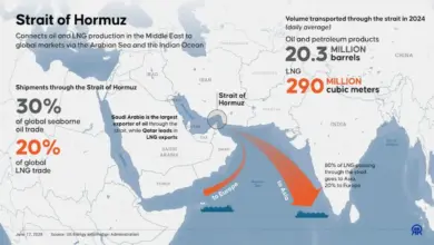 hormuz-standoff-iran-india-ship