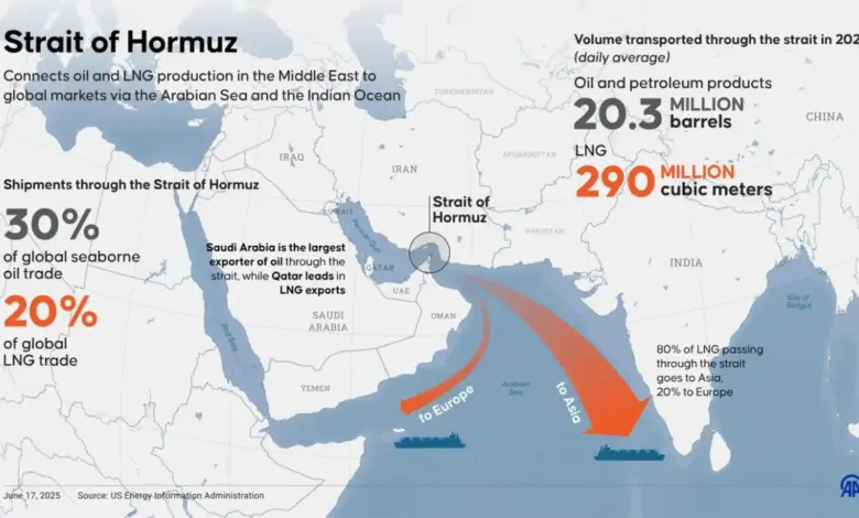 hormuz-standoff-iran-india-ship