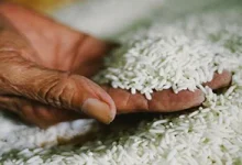 india-aid-to-poor-countries