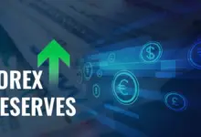 india-forex-reserve-increases-697-billion