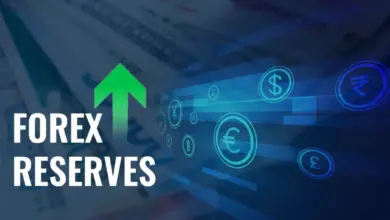 india-forex-reserve-increases-697-billion