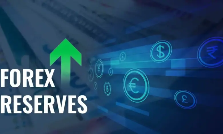 india-forex-reserve-increases-697-billion