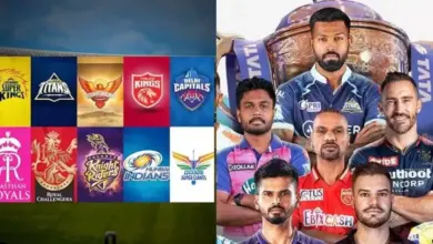 ipl-2026-playoffs-teams-status