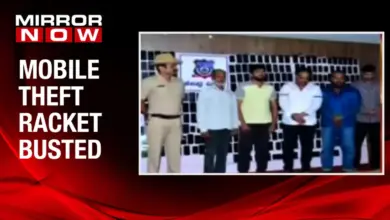 ipl-match-fans-mobile-theft