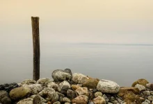 ipl-sarfraz-performance-vs-expensive-players