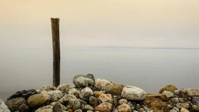 ipl-sarfraz-performance-vs-expensive-players