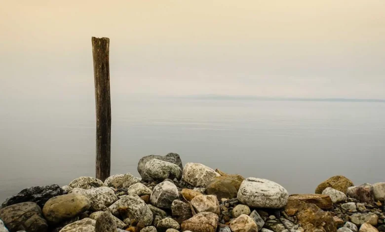 ipl-sarfraz-performance-vs-expensive-players