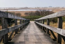 ipl-shreyas-iyer-ban-controversy