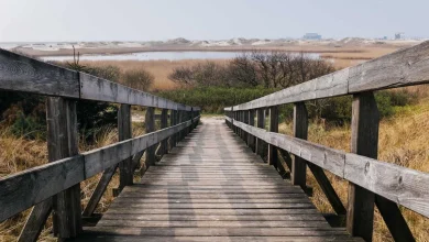 ipl-shreyas-iyer-ban-controversy