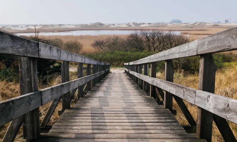 ipl-shreyas-iyer-ban-controversy