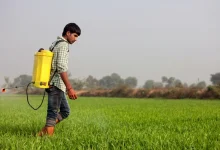 iran-war-india-fertilizer-supply