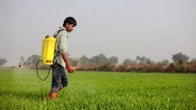 iran-war-india-fertilizer-supply