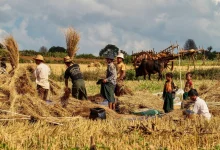 iran-war-market-decline-retirement-planning