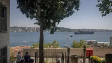 israel-support-country-demands