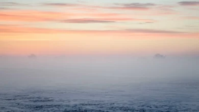 it-industry-crisis-chip-prices-rise