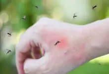 mosquito-outbreak-increasing-health-concerns